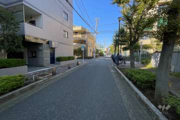 敷地の北側前面道路（東側から）