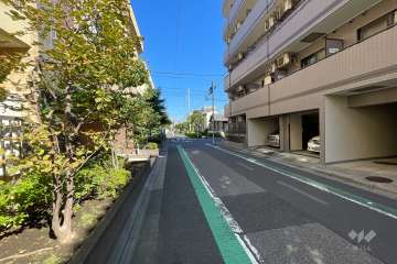敷地の西側前面道路（南側から）