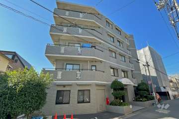 エヴァーグリーン立石