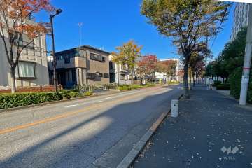 敷地の西側前面道路（南側から）