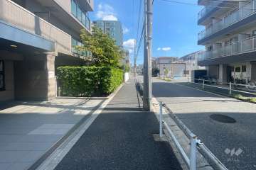 敷地の南側前面道路（西側から）