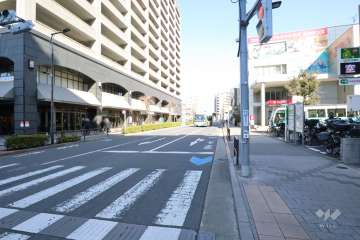 敷地南側の前面道路