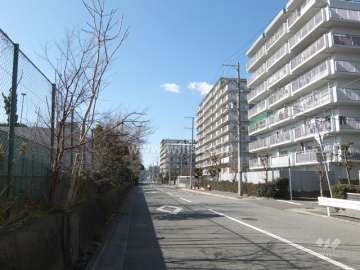 敷地南側の前面道路