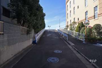 敷地南側の前面道路（東側から）