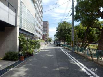 敷地南側の前面道路