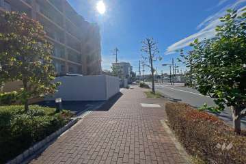 敷地の北側前面道路は「ときわ花小路」です（東側から）。