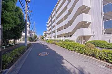 敷地西側の前面道路（南側から）