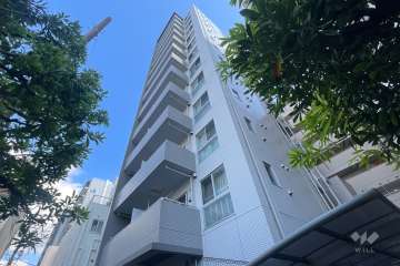 ダイナシティ新小岩の外観（南側から）