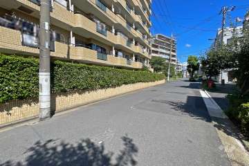 敷地南側の前面道路（西側から）