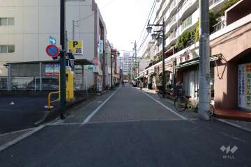 敷地南側の前面道路(東側から)
