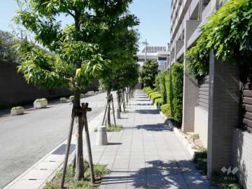 敷地南側の前面道路