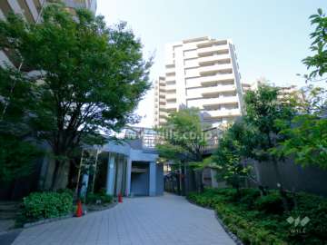 敷地内は緑豊かです。