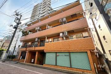 ダイアパレス亀有の外観（北側から）
