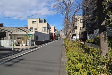 敷地西側の前面道路(南側から)