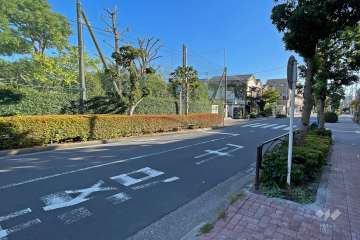 敷地東側の前面道路（北側から）