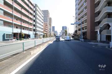 敷地西側の前面道路(北側から)