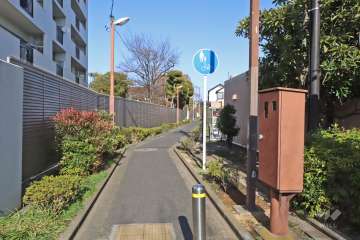 敷地南側の前面道路(西側から)