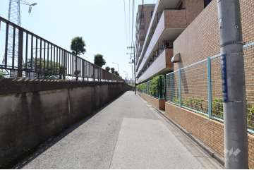 敷地の南側前面道路（東側から）