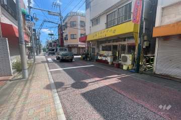 敷地の南側前面道路（西側から）