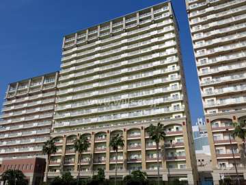 RICイーストコート11番街2番館の外観（南東側から）