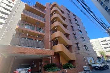 ワコー白鳥マンションの外観（北西側から）　　