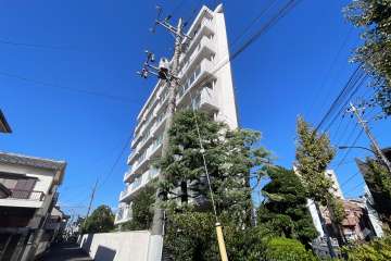 アイビハイツ柴又の外観（南東側から）