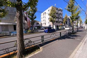 敷地西側の前面道路（南側から）