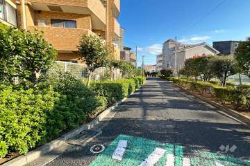 敷地南西側の前面道路　