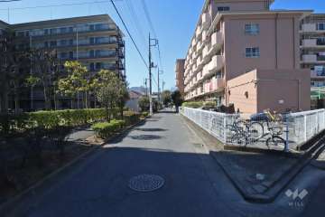 敷地南側の前面道路（東側から）