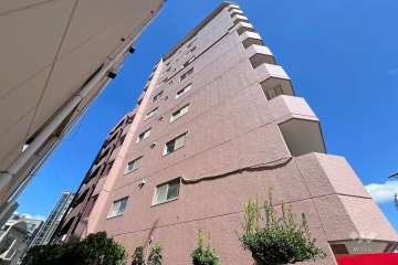 セザール金町の外観（南西側から）
