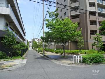 敷地北側の前面道路