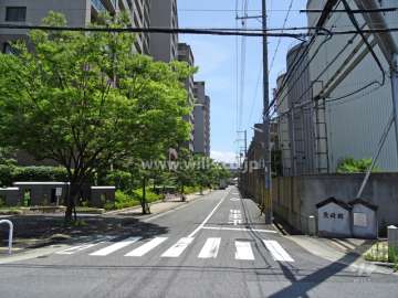 敷地南側の前面道路