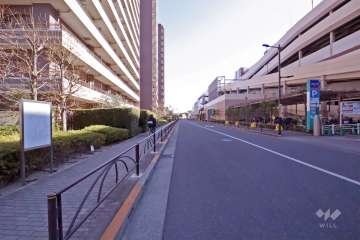 敷地南西側の前面道路(北西側から)