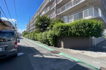 敷地の南側前面道路（東側から）