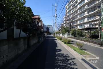 敷地西側の前面道路(北側から)