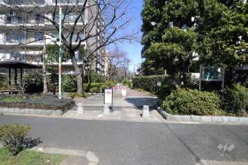 敷地南東側の前面道路(西側から)