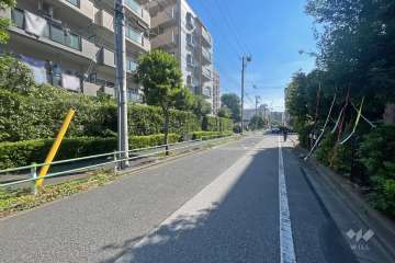 敷地西側の前面道路（北側から）