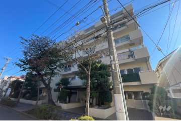 マック柴又コート