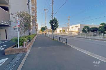 敷地西側の前面道路（北側から）