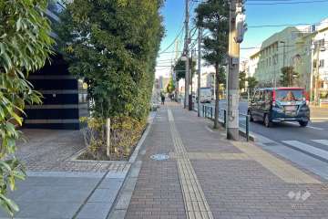 敷地東側の前面道路（南側から）
