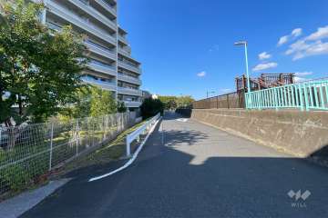 敷地東側の前面道路（南側から）