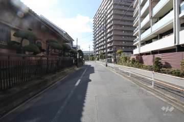 敷地南側の前面道路(東側から)
