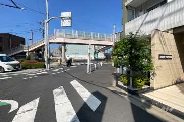 敷地の南側前面道路（東側から）
