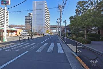 敷地北側の前面道路(西側から)