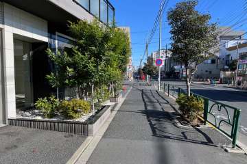敷地の南側前面道路（西側から）
