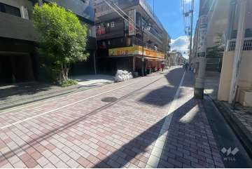 敷地の南側前面道路（西側から）