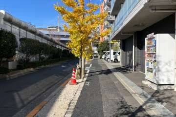 敷地の南西側前面道路（南東側から）