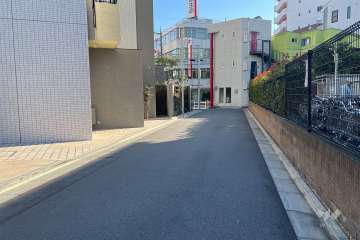 敷地の西側前面道路（北側から）