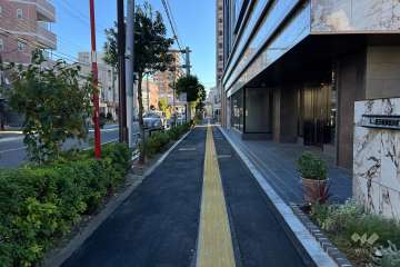 敷地の北東側前面道路（北西側から）