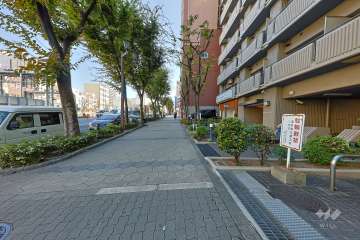 敷地北側の前面道路（西側から）